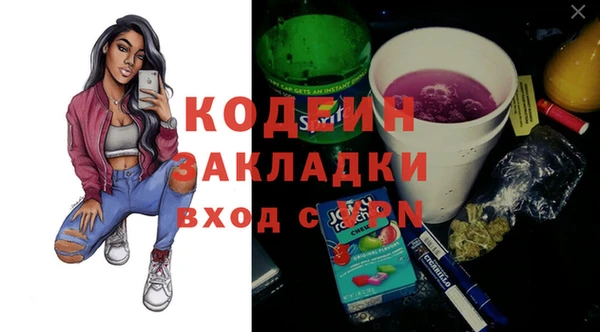 дурь Инсар